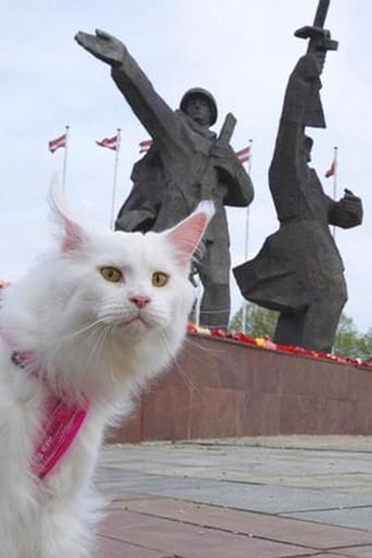 poster Cats in Riga