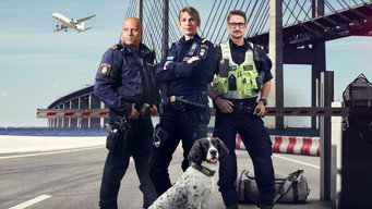 #5 Border Control: Sweden