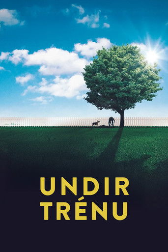 Undir trénu (2017)