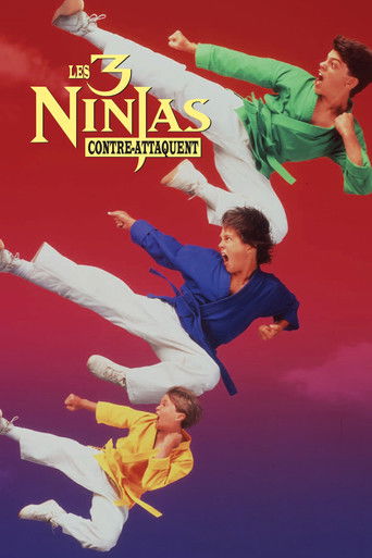 Ninja Kids 2 : Les 3 Ninjas contre-attaquent
