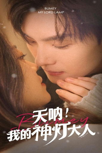 天呐！我的神灯大人 poster