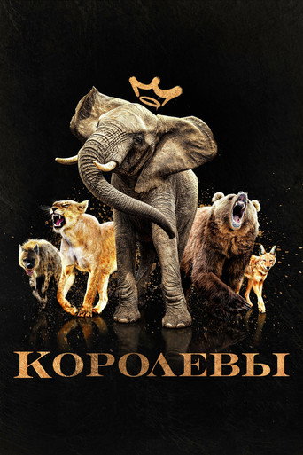 Постер «Королевы»