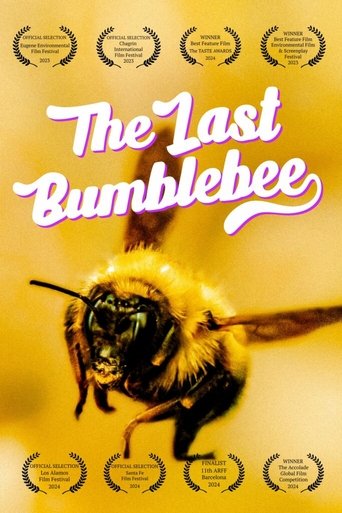 The Last Bumblebee poster