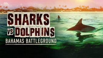 Sharks vs Dolphins: Bahamas Battleground (2023)
