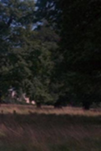 Tree (1974)