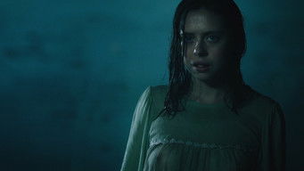 Galeria 3 - Criaturas nocturnas