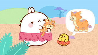 The Sabre Tooth Kitten