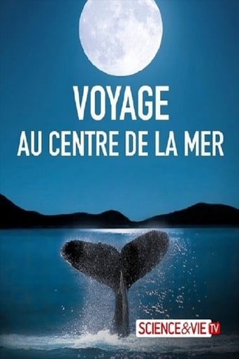 Voyage au-delà des étoiles poster