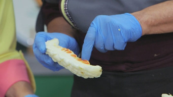 Episode 2 — Episode 2