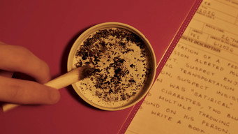 Escena 2 de MR. SELF DESTRUCT