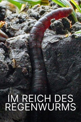 Im Reich des Regenwurms