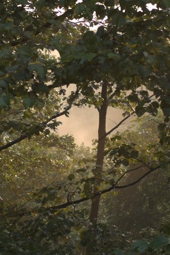 After Us The Deluge (2018) After Us The Deluge (2018)