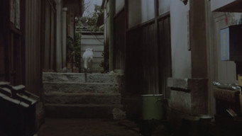 Щоденник Ґейші (1961)