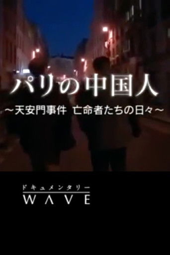 パリの中国人～天安門事件　亡命者たちの日々～ poster
