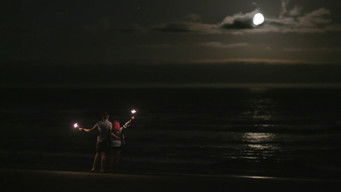 Episode 7 — Cookie-wise