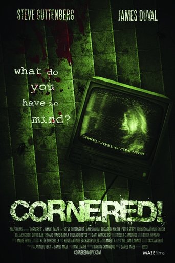 Cornered! (2009)