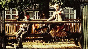 Kamien na kamieniu (1995)