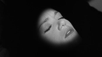 #19 Cat People