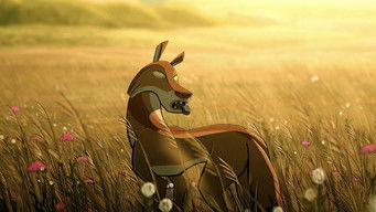 Galeria 4 - Las cuatro almas del coyote