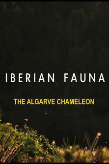 The Algarve Chameleon - Iberian Fauna poster