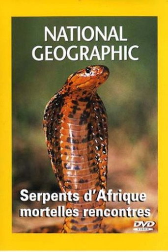 African Snakes poster