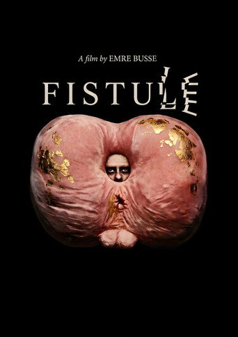 FISTULE poster