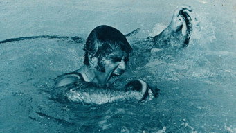 Stanley media image