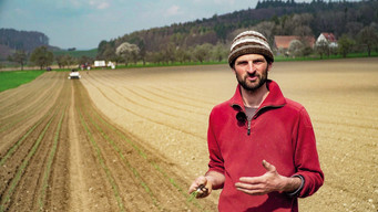 Our Soil is Our Heritage (2020)