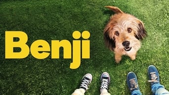 #6 Бенджі