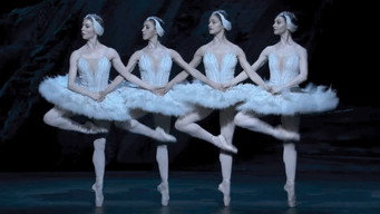 Swan Lake (2018)