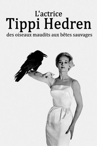 L'actrice Tippi Hedren : des oiseaux maudits aux bêtes sauvages