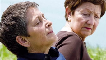 Galeria 1 - En 80 días