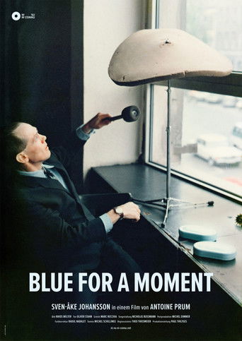 Blue For a Moment (2017)
