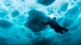La pesca del oro:Bajo el hielo - S1E01