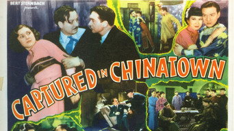 Hollywood Chinese (2007)