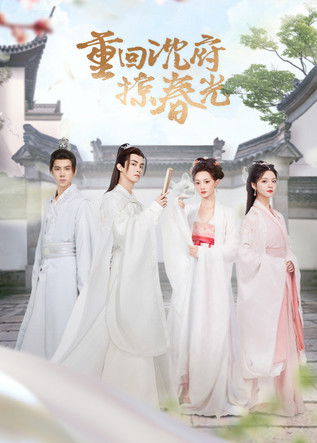 Hidden Revenge poster