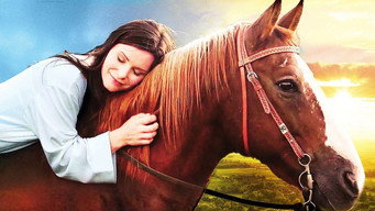 Horse Camp (2016)