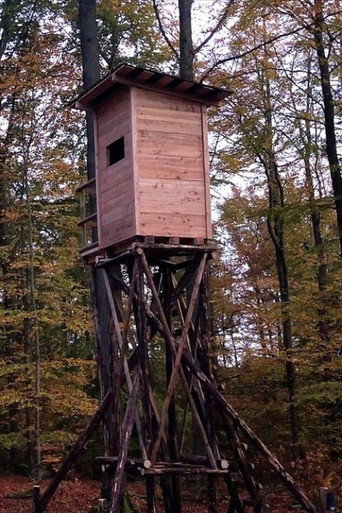 Highly Perched (2021)