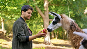 Schlechte Helden oder ein Lama namens Beethoven (2022)