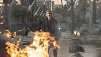 Galeria 2 - Bird Box Barcelona