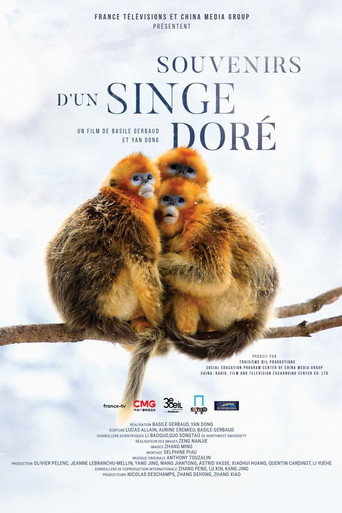 Souvenirs d'un singe dor&eacute; (2023)