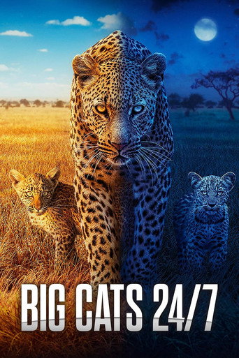 Series 2 poster