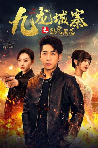 九龙城寨之卧虎藏龙 poster