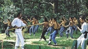 The Kung Fu Instructor (1979)