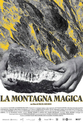La montagna magica (2025)