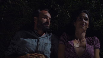 Like Sugar on a Wound (2023)