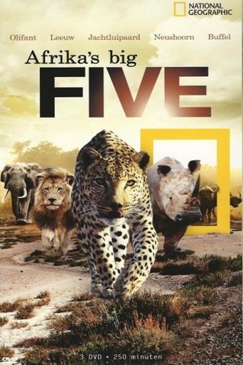 Africa's Big Five poster