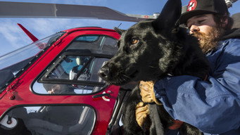 Superpower Dogs (2019)