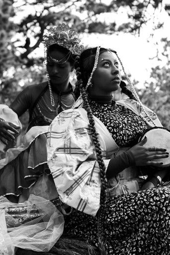 Obsidian Black poster