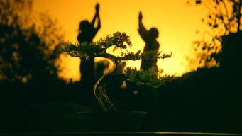 Galeria 4 - Karate Kid III. El desafío final